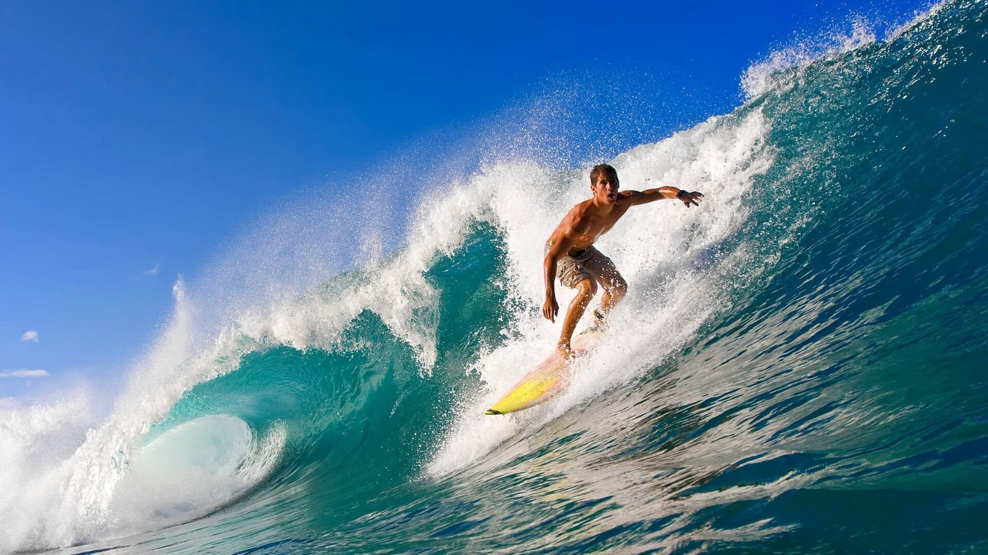 重大比赛期间交通管制影响球迷出行，主办方发布指引