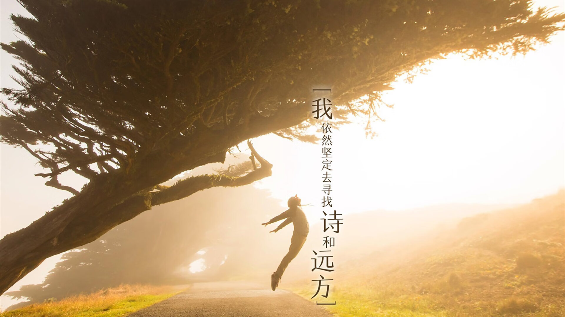 _智慧体育场馆：用科技引领运动革命_，智慧体育场馆应具备哪些功能