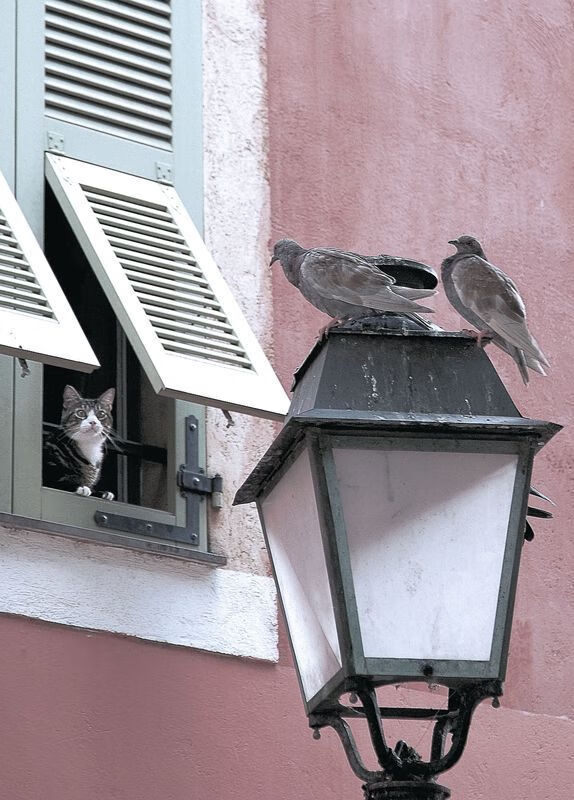 【传感技术注入】新科技让球速和轨迹一览无遗